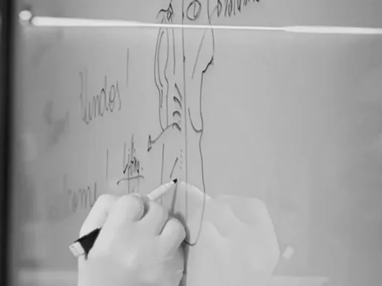 Preceptor desenhando o planejamento do caso no quadro, com aluna ao lado.